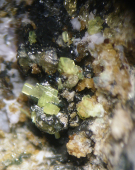 Jahnsite, Saleeite, Apatite - Sapucaia mine, Galilia, Minas Gerais, Brazil