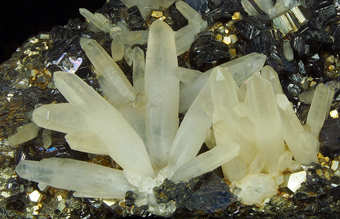 Quartz, Sphalerite var. Marmatite, Pyrite - Trepča complex, Kosovo