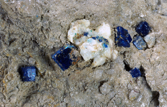Boleite and Mendipite - Santa Rosala, Mun. de Muleg, Baja California Sur, Mexico