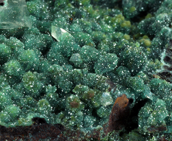 Austinite - Ojuela Mine, Mapimi, Durango, Mexico