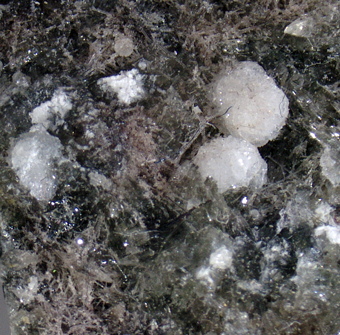 9731a_TRIP_DANI - Triplite, Chabazite, Vonsenite - Vallerano quarries, Valleranello, Latium, Italy