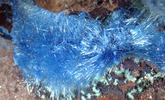 Cyanotrichite - Maid of Sunshine mine, Dragoon Mts, Arizona, USA