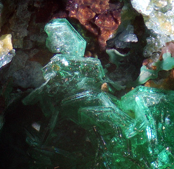 9802_CHAL_DANI - Chalcophyllite - Salsigne mine, Salsigne, Languedoc-Roussillon, France