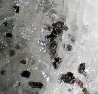 Magnesio-arfvedsonite, Winchite - Tirodi mine, Madhya Pradesh, India