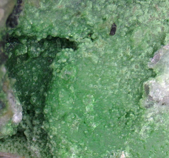 Zaratite - Wood's Chrome mine, Texas, Pennsylvania, USA