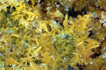 9890_TSUM_DANI - Tsumcorite (TL) - Tsumeb mine, Tsumeb, Otjikoto Region, Namibia