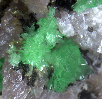 Gaspeite on Annabergite - Km-3 mine, Lavrion, ,Attik Prefecture, Greece