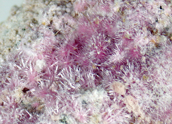 Bieberite, Kottigite, Erythrite - Svornost mine, Jchymov, Czech Republic