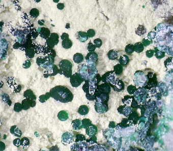 Arsenogorceixite (TL) and Cornwallite - Clara mine, Rankach valley, Baden-Wrttemberg, Germany