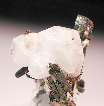 Analcime with Natrolite/Aegyrine/Kupletskite/Serandite - Mont Saint Hilaire - Quebec - Canada