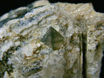 Sulphohalite on Hanksite - Searles Lake, San Bernardino Co., California, USA