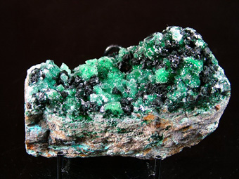 Clinoatacamite on Quartz and Malachite - Lily Mine (Lilly Mine), Pisco Umay, Ica Department, Peru