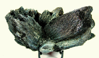 Berthierite - Herja Mine, Chiuzbaia (Kisbnya), Baia Mare (Nagybnya), Maramureș Co., Romania