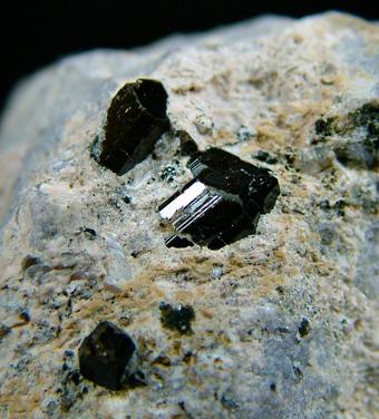 Buergerite - Mexquitic, San Luis Potos, Mexico