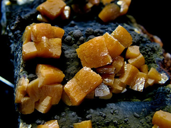 Wulfenite on Mottramite - Ojuela Mine, Mapim, Mun. de Mapim, Durango, Mexico