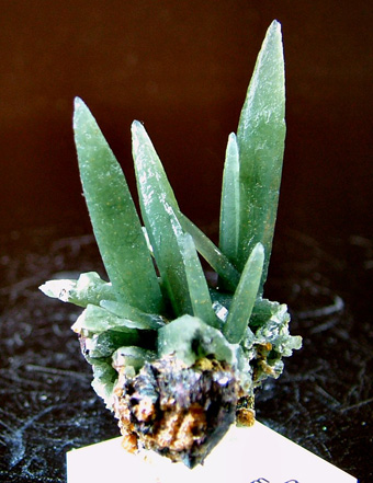 Prase Quartz - Serifos Island (Seriphos), Cyclade Islands (Cyclades; Kikladhes; Nomos Kikladhon), Kykldes Prefecture, Aegean Islands Department (Aiyaon), Greece