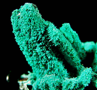 Ajoite ps on Azurite ps on Malachite - Lupoto mine, Lubumbashi (Elizabethville), Katanga Copper Crescent, Katanga (Shaba), Democratic Republic of Congo (Zare)