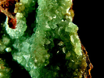 Austinite - Ojuela Mine, Mapim, Mun. de Mapim, Durango, Mexico