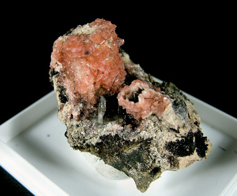 Serandite, Aegirine, Albite - Poudrette quarry - Mont Saint-Hilaire, La Valle-du-Richelieu RCM, Montrgie, Qubec, Canada