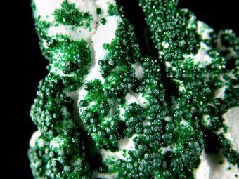 Mammellonar Malachite on Chalcedony - Lupoto Mine, Kakumba, Katanga Copper Crescent, Katanga (Shaba), Democratic Republic of Congo (Zare)