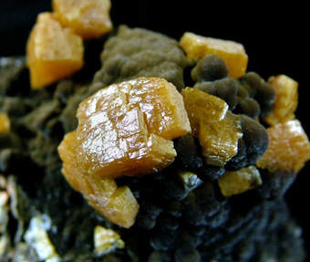 Wulfenite on Mottramite - San Juan Poniente, Ojuela Mine, Mapim, Mun. de Mapim, Durango, Mexico