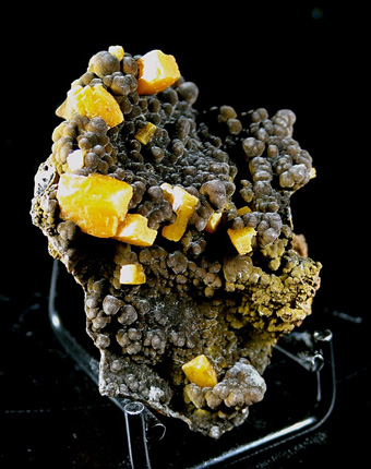 Wulfenite on Mottramite - San Juan Poniente, Ojuela Mine, Mapim, Mun. de Mapim, Durango, Mexico