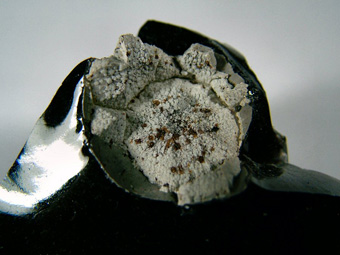 Cristobalite and Fayalite in Obsidian - Cougar Butte occurrence (Canyon Butte; Couger Butte), Cougar Butte, Cascade Range, Siskiyou Co., California, USA