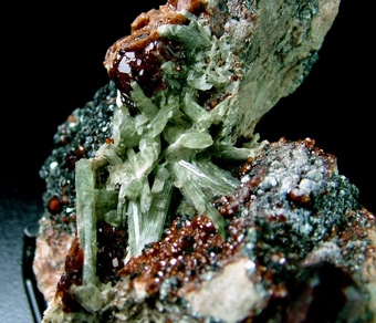 Diopside with Grossular var. Hessonite - Bellecombe, Chtillon, Aosta Valley, Italy