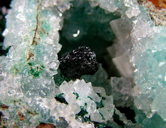 Paratacamite on Quartz with Chrysocolla - Lily Mine (Lilly Mine), Pisco Umay, Ica Department, Peru