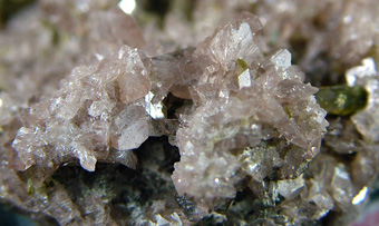 BALD0575 - Axinite with Epidote - Bourg d'Oisans, Isre, Auvergne-Rhne-Alpes, France