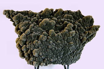 Mottramite - Ojuela Mine, Mapim, Mun. de Mapim, Durango, Mexico