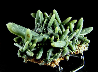 Prase Quartz with Hematite - Serifos Island (Seriphos), Cyclade Islands (Cyclades; Kikladhes; Nomos Kikladhon), Kykldes Prefecture, Aegean Islands Department (Aiyaon), Greece