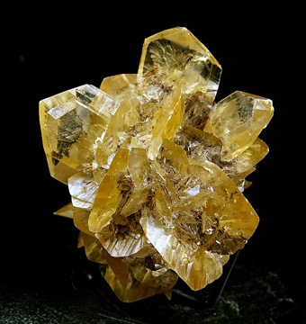 Gypsum var. Selenite - Red River Floodway, Winnipeg, Manitoba, Canada