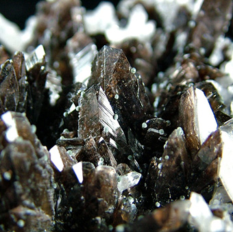 BALD0744 - Axinite-Fe with Quartz - Dalnegorsk Urban District, Primorsky Krai, Russia