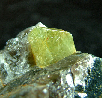 Chrysoberyl on Quartz and Muscovite - Rio das Pratinhas, Arataca, Bahia, Brazil