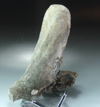 BALDB_B00015 - Cerussite - Montevecchio mine - Montevecchio -Sardinia - Italia