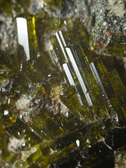 Epidote - Bellecombe, Aosta Valley, Piedmont, Italy