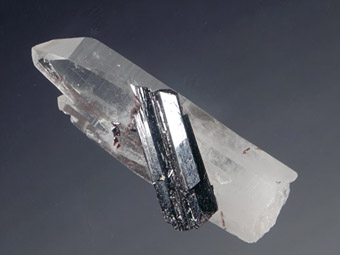 Huebnerite, Quartz - Huayllapon Mine, Pasto Bueno, Ancash, Per�