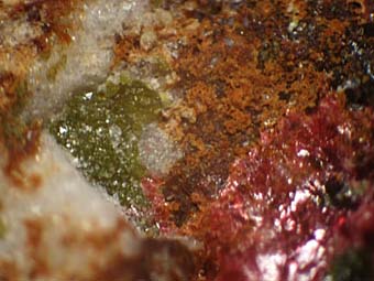Cobaltoaustinite, Eritirite, Smolianinovite - Dome Rock, South Australia, Australia