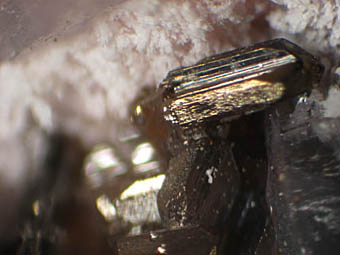 Seligmannite, Tetrahedrite, Rhodochrosite - Pachapaqui, Bolognesi, Ancash, Peru