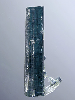 Elbaite var. Indicolite - Pederneira Mine, Aracua�, Minas Gerais, Brasile