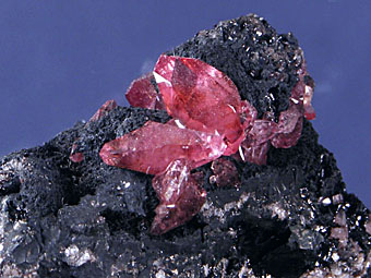 Rhodochrosite - Uchucchacua Mine, Lima, Peru