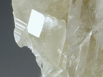 Montebrasite, Quartz - Telirio Mine, Linopolis, Minas Gerais, Brazil, South America