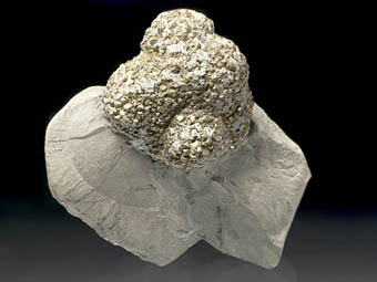 Pyrite - Valdagno-Schio Tunnel, Vicenza, Veneto, Italy
