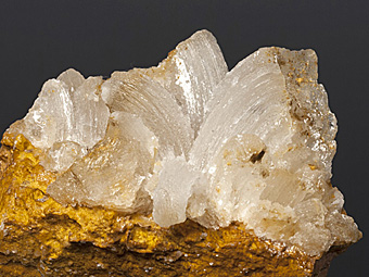 Gypsum - Bou Bekker, Touissit, Morocco