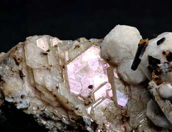 Catapleite, Analcime and Aegirine - Poudrette quarry, Mont Saint-Hilaire, Qu�bec, Canada