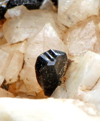 Cassiterite - San Piero in Campo, Isola d'Elba, Province of Livorno, Tuscany, Italy
