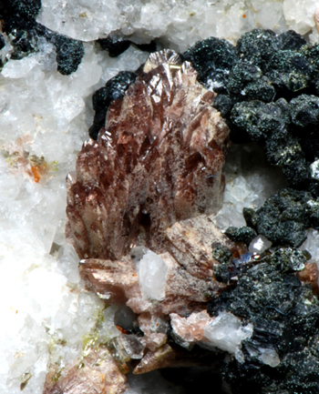 Tilasite - Mount Cervandone, Devero Alp, Baceno, Ossola Valley, Verbano-Cusio-Ossola Province, Piedmont, Italy