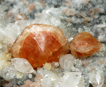 Phacolite - Crastu Muradu Quarry, Osilo, Province of Sassari, Sardinia, Italy