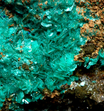 Chalcophyllite - Perda Niedda Mine, by Domusnovas, Province of Cagliari, Sardinia - Italy
